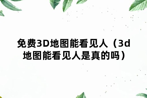 免费3D地图能看见人（3d地图能看见人是真的吗）