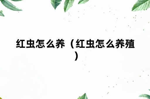 红虫怎么养（红虫怎么养殖）