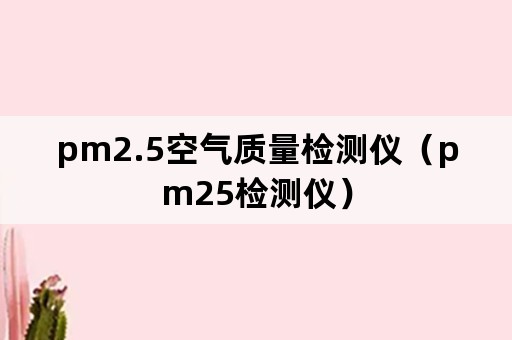 pm2.5空气质量检测仪（pm25检测仪）