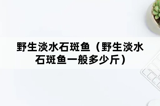 野生淡水石斑鱼（野生淡水石斑鱼一般多少斤）