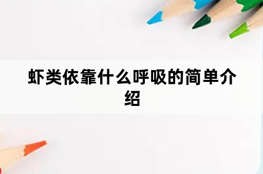 虾类依靠什么呼吸的简单介绍