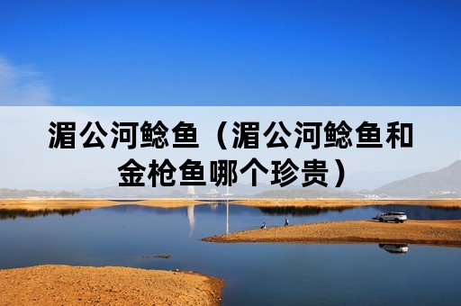 湄公河鲶鱼（湄公河鲶鱼和金枪鱼哪个珍贵）