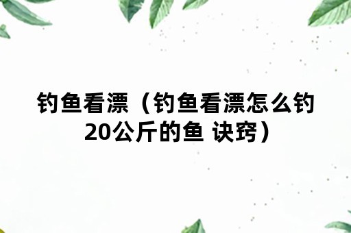钓鱼看漂（钓鱼看漂怎么钓20公斤的鱼 诀窍）