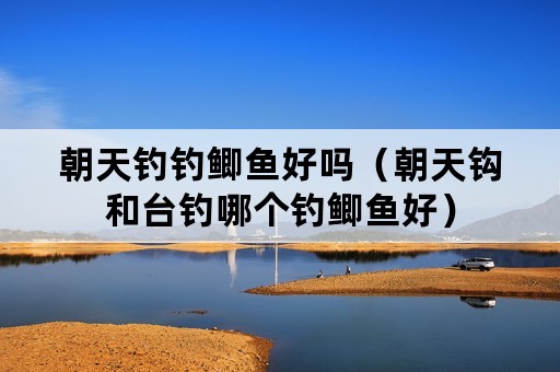 朝天钓钓鲫鱼好吗（朝天钩和台钓哪个钓鲫鱼好）