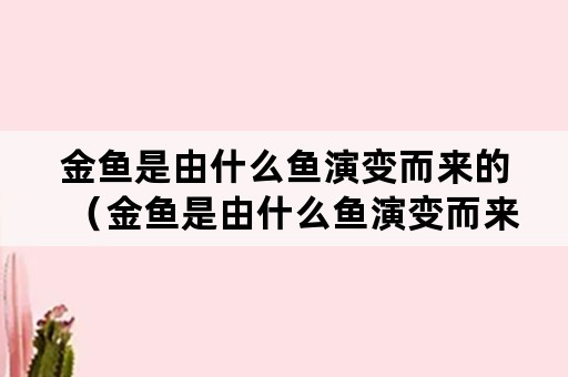 金鱼是由什么鱼演变而来的（金鱼是由什么鱼演变而来的视频）