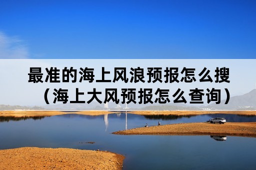 最准的海上风浪预报怎么搜（海上大风预报怎么查询）