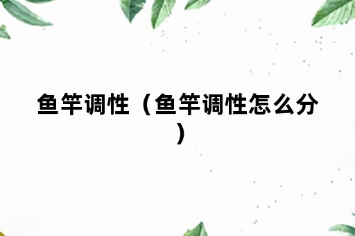 鱼竿调性（鱼竿调性怎么分）