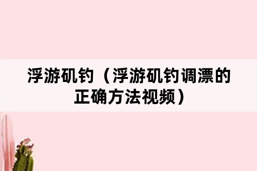 浮游矶钓（浮游矶钓调漂的正确方法视频）