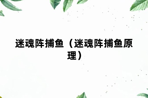 迷魂阵捕鱼（迷魂阵捕鱼原理）