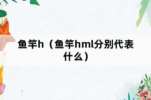 鱼竿h（鱼竿hml分别代表什么）