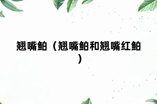 翘嘴鲌（翘嘴鲌和翘嘴红鲌）