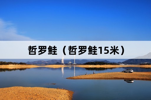 哲罗鲑（哲罗鲑15米）