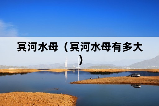 冥河水母（冥河水母有多大）