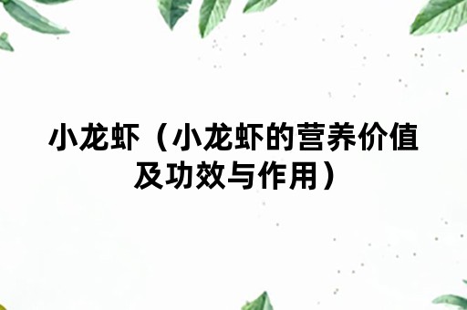 小龙虾（小龙虾的营养价值及功效与作用）