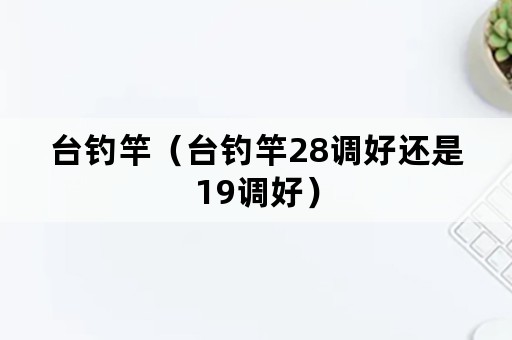 台钓竿（台钓竿28调好还是19调好）