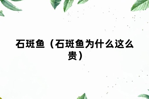 石斑鱼（石斑鱼为什么这么贵）