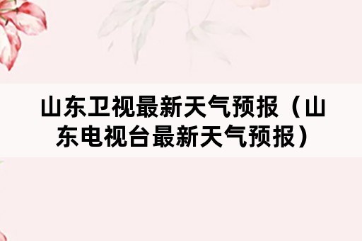 山东卫视最新天气预报（山东电视台最新天气预报）