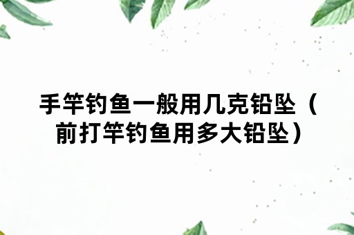 手竿钓鱼一般用几克铅坠（前打竿钓鱼用多大铅坠）