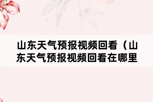 山东天气预报视频回看（山东天气预报视频回看在哪里看）