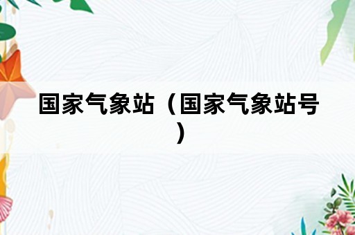 国家气象站（国家气象站号）