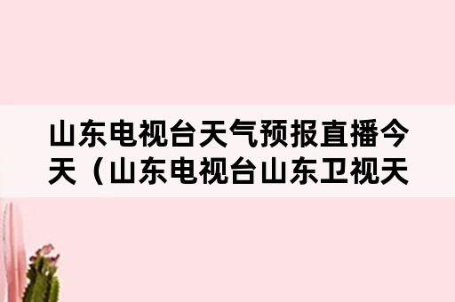 山东电视台天气预报直播今天（山东电视台山东卫视天气预报）