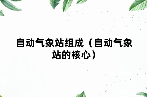 自动气象站组成（自动气象站的核心）