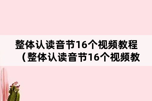 整体认读音节16个视频教程（整体认读音节16个视频教程亲宝）