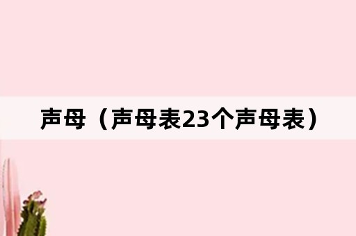 声母（声母表23个声母表）