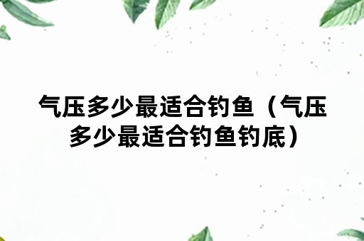 气压多少最适合钓鱼(气压多少最适合钓鱼钓底) 气压多少最适合钓鱼(气压多少最适合钓鱼钓底)