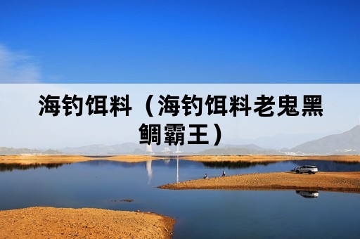 海钓饵料（海钓饵料老鬼黑鲷霸王）