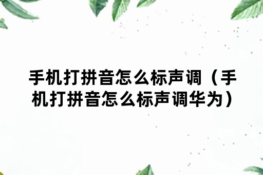 手机打拼音怎么标声调（手机打拼音怎么标声调华为）