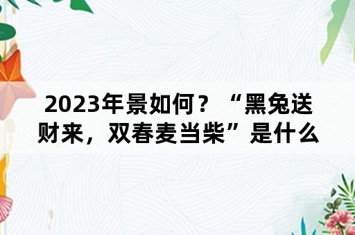 2023年景如何？“黑兔送财来，双春麦当柴”是什么意思？