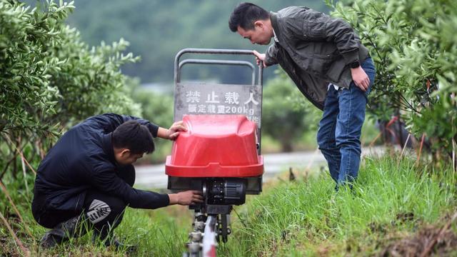 广西乡村振兴28个发展方向（广西数字引擎）(2)