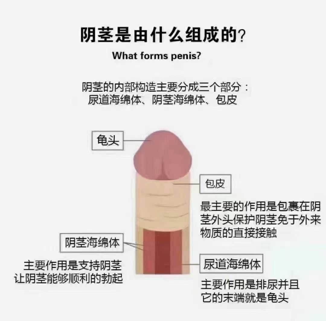 不怕细和长 就怕歪头狼