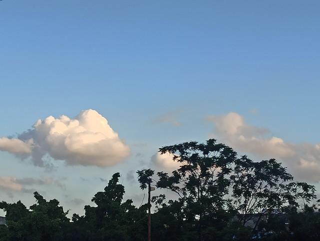 可堪连日雨并作晚秋霖（朔风更兼霜寒到晓明）(2)