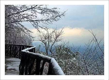 极限高空跳伞视觉盛宴（湖南极限高空婚礼这绝对是今年七夕最刺激的打开方式）(23)