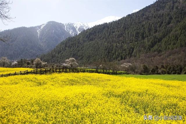 周国平的散文经典片段（名家谈周国平）(3)