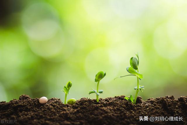 每个人的成长都是一个蜕变的过程（生命的过程就是做自己）(5)