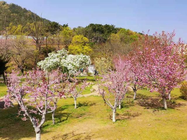 大连金石滩和发现王国一日游攻略（老明游记之大连龙王塘）(19)