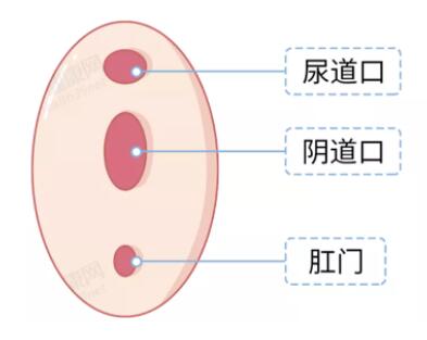 第一次怎么找到孔放进去