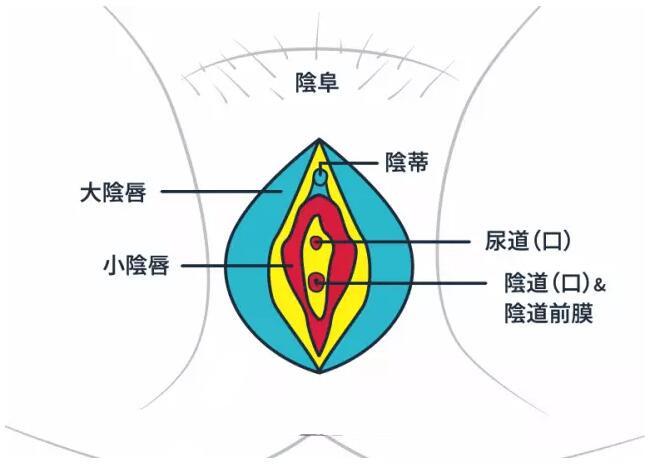 女生夹腿就可以有强烈快感么