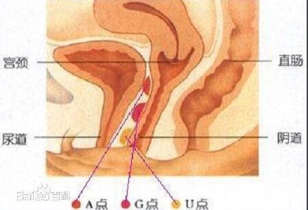 女生觉得男生多少厘米合适