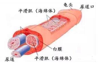 青少年变粗变大的训练方法