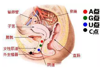 g 点是哪里