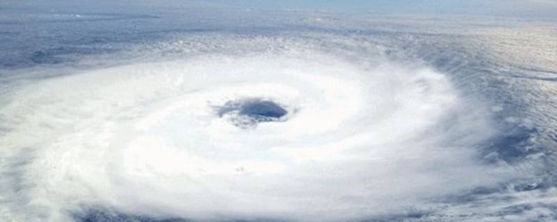 台风的自救和怎么躲避