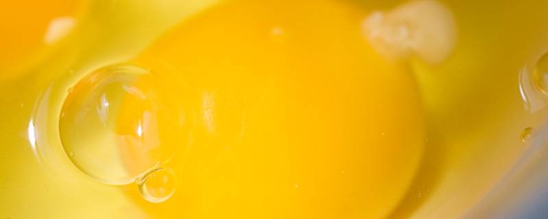 剩下的生蛋黄能做什么