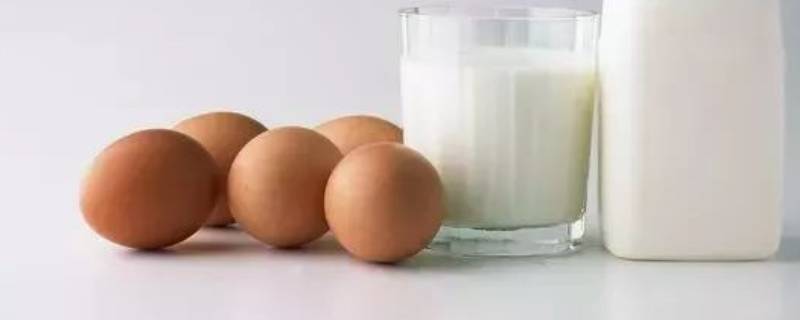 鸡蛋白可以做什么美食